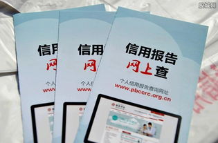 江蘇聯(lián)合征信公司成立，經(jīng)營范圍涵蓋企業(yè)信用評(píng)級(jí)與征信服務(wù)